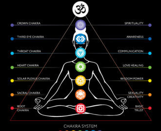chakra system