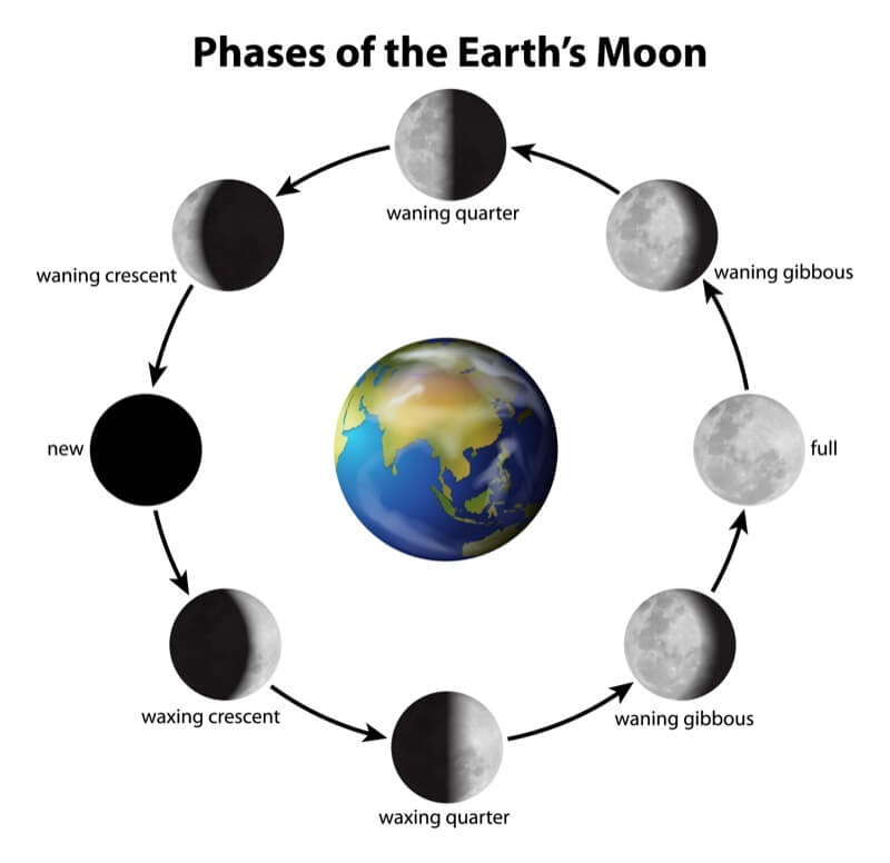 Phases of the Earth's Moon